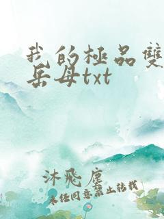 我的极品双胞胎岳母txt