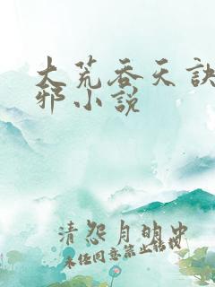 大荒吞天诀柳无邪小说