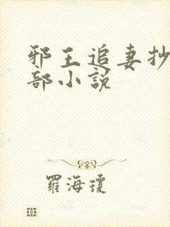 邪王追妻抄袭哪部小说