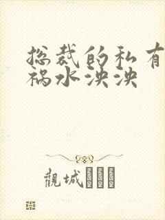 总裁的私有宝贝祸水泱泱