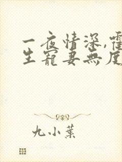 一夜情深,霍先生宠妻无度丨