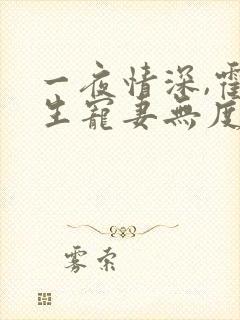 一夜情深,霍先生宠妻无度小说免费阅读