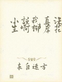 小说我真没想重生啊柳岸花又明无弹窗无广告
