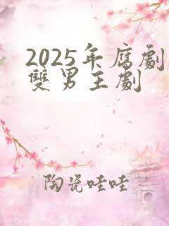 2025年腐剧双男主剧
