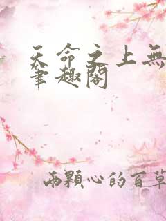 天命之上无弹窗笔趣阁