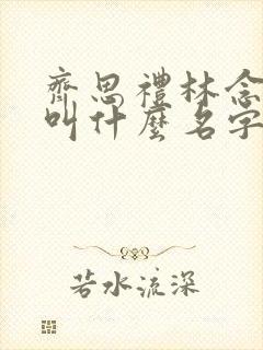 齐思礼林念小说叫什么名字
