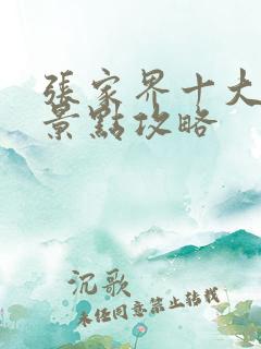 张家界十大必玩景点攻略