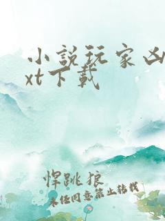 小说玩家凶猛txt下载