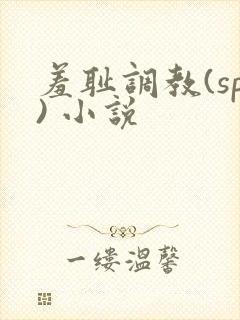 羞耻调教(sp) 小说