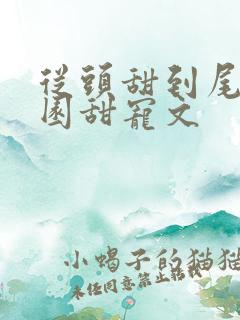 从头甜到尾的校园甜宠文