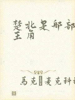 楚北是哪部小说主角