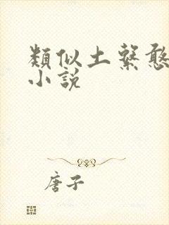 类似土系憨女的小说