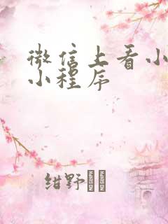 微信上看小说的小程序