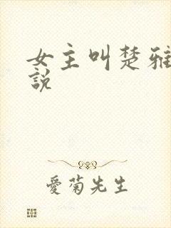 女主叫楚雅的小说