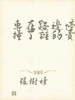 车在路边停着被撞了谁的责任
