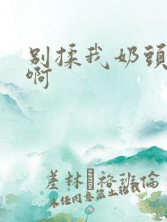 别揉我奶头了嗯啊