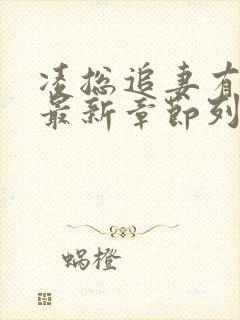 凌总追妻有点甜最新章节列表