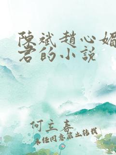 陈斌赵心媚高婉君的小说