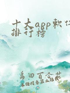 十大app软件排行榜