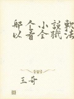 哪个小说软件可以看全职法师小说