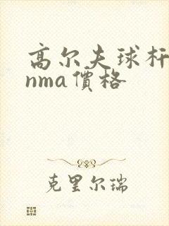 高尔夫球杆honma价格