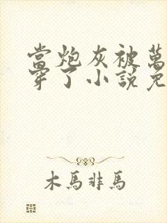 当炮灰被万人迷穿了小说免费阅读