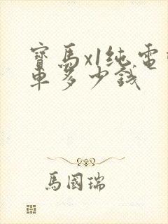宝马x1纯电动车多少钱