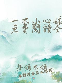 一不小心嫁总裁免费阅读全文