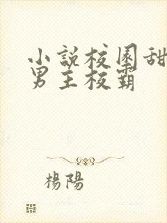 小说校园甜宠文男主校霸