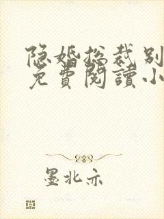 隐婚总裁别太坏免费阅读小说
