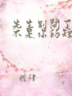 先生别闹了新娘不是你的短剧免费观看