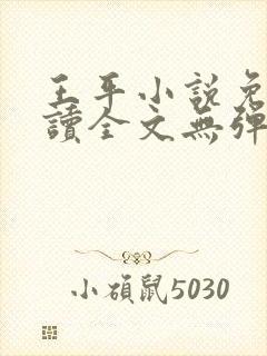 王平小说免费阅读全文无弹窗