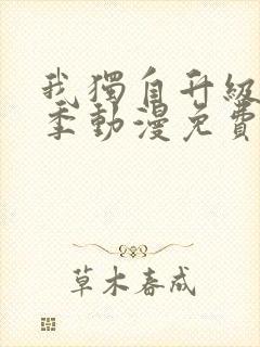 我独自升级第二季动漫免费观看