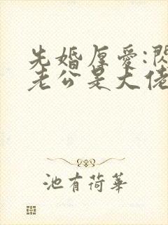 先婚厚爱:闪婚老公是大佬