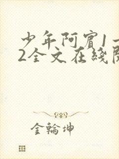 少年阿宾1一72全文在线阅读