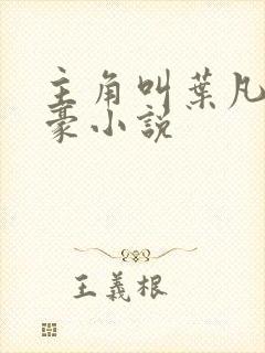 主角叫叶凡的神豪小说