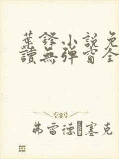 叶锋小说免费阅读无弹窗全文