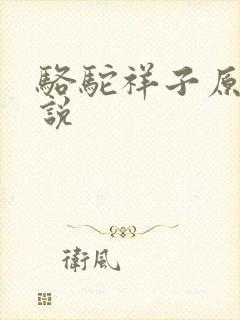 骆驼祥子原著小说