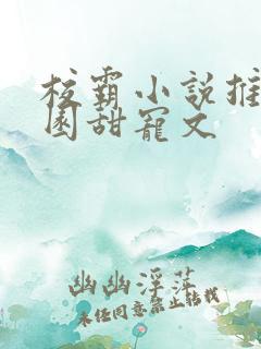 校霸小说推荐校园甜宠文