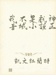 我不是戏神三九音域小说正版