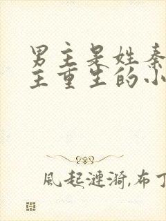 男主是姓秦的女主重生的小说