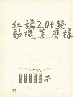 红旗2.0t发动机怎么样