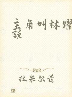 主角叫林跃的小说