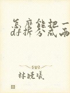 怎么能把一个pdf拆分成两个