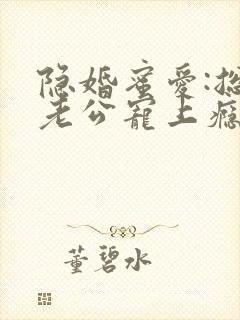 隐婚蜜爱:总裁老公宠上瘾 完本