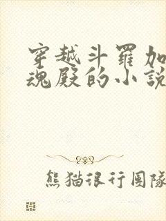 穿越斗罗加入武魂殿的小说