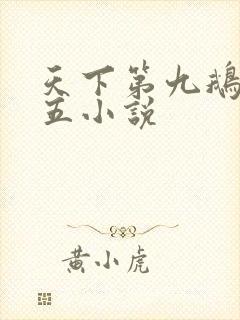 天下第九鹅是老五小说