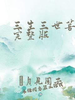 三生三世菩提劫完整版