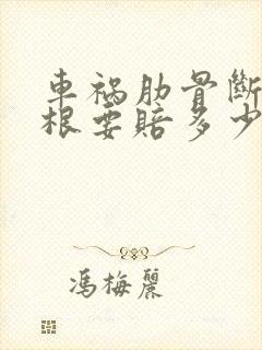 车祸肋骨断了三根要赔多少钱