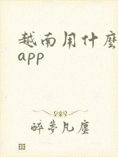 越南用什么地图app